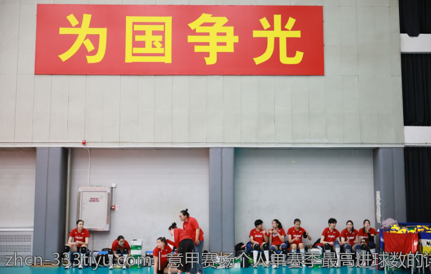 意甲赛场个人单赛季最高进球数的详细统计