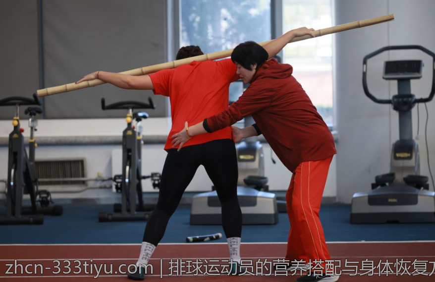 排球运动员的营养搭配与身体恢复方案